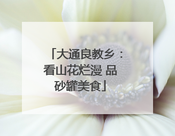 大通良教乡：看山花烂漫 品砂罐美食
