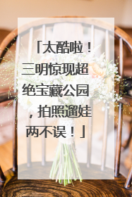 太酷啦！三明惊现超绝宝藏公园，拍照遛娃两不误！