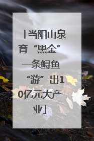 当阳山泉育“黑金” 一条鲟鱼“游”出10亿元大产业