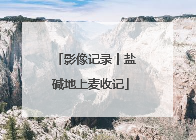 影像记录丨盐碱地上麦收记