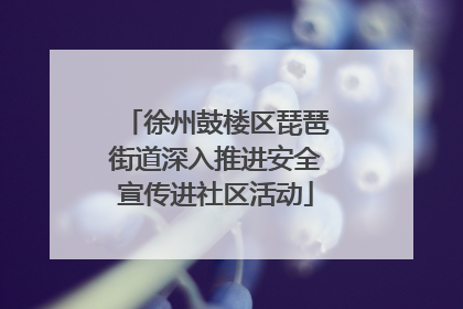 徐州鼓楼区琵琶街道深入推进安全宣传进社区活动