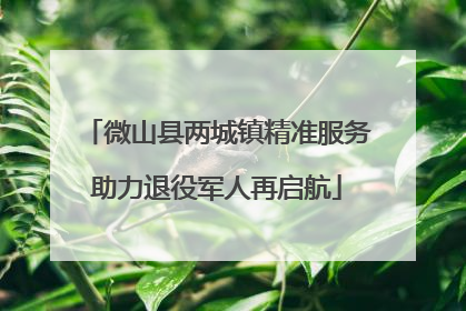 微山县两城镇精准服务助力退役军人再启航