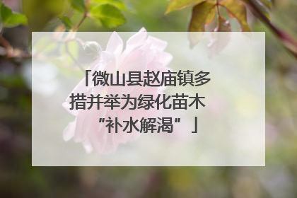 微山县赵庙镇多措并举为绿化苗木“补水解渴”