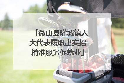微山县驩城镇人大代表履职出实招精准服务促就业