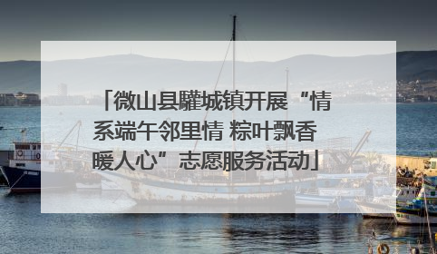 微山县驩城镇开展“情系端午邻里情 粽叶飘香暖人心”志愿服务活动