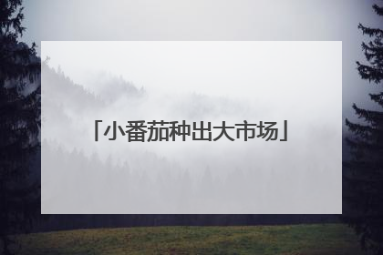 小番茄种出大市场