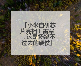 小米自研芯片亮相！雷军：这是场绕不过去的硬仗