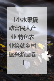 小水果撬动富民大产业 特色农业绘就乡村振兴新画卷