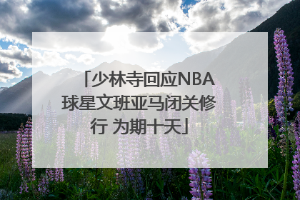 少林寺回应NBA球星文班亚马闭关修行 为期十天
