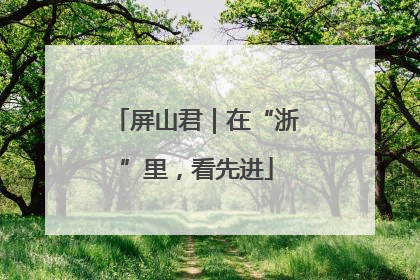 屏山君｜在“浙”里，看先进
