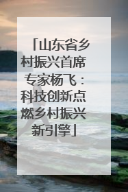 山东省乡村振兴首席专家杨飞：科技创新点燃乡村振兴新引擎