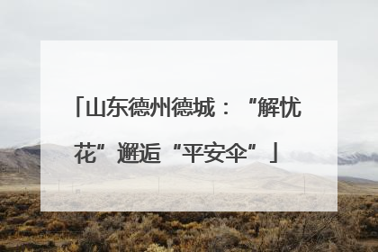 山东德州德城：“解忧花”邂逅“平安伞”