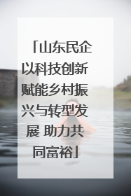 山东民企以科技创新赋能乡村振兴与转型发展 助力共同富裕