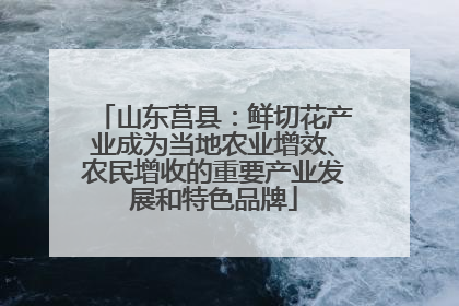 山东莒县：鲜切花产业成为当地农业增效、农民增收的重要产业发展和特色品牌