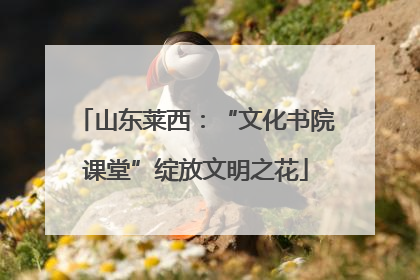 山东莱西：“文化书院课堂”绽放文明之花