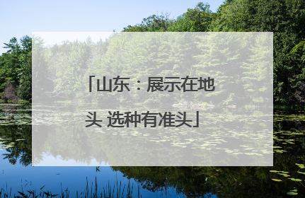 山东：展示在地头 选种有准头