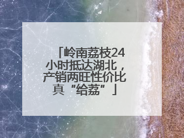 岭南荔枝24小时抵达湖北，产销两旺性价比真“给荔”