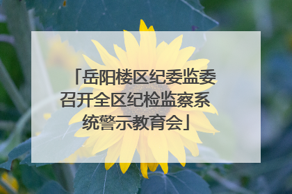 岳阳楼区纪委监委召开全区纪检监察系统警示教育会