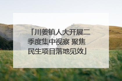 川姜镇人大开展二季度集中视察 聚焦民生项目落地见效