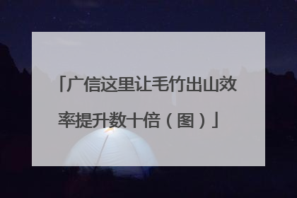 广信这里让毛竹出山效率提升数十倍（图）