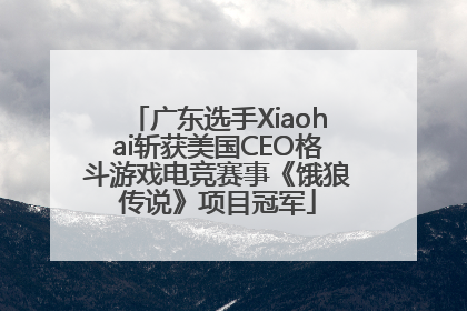 广东选手Xiaohai斩获美国CEO格斗游戏电竞赛事《饿狼传说》项目冠军