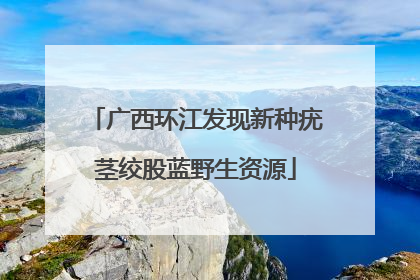 广西环江发现新种疣茎绞股蓝野生资源