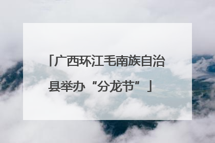广西环江毛南族自治县举办“分龙节”