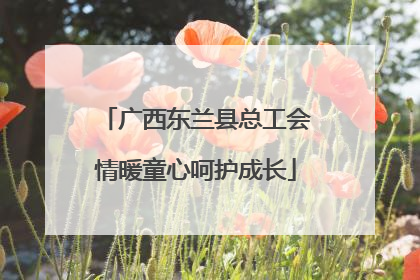 广西东兰县总工会情暖童心呵护成长