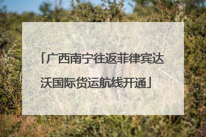 广西南宁往返菲律宾达沃国际货运航线开通