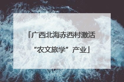广西北海赤西村激活“农文旅学”产业