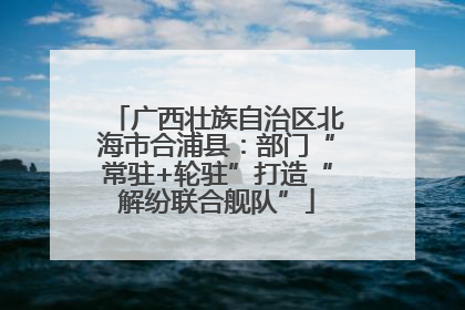 广西壮族自治区北海市合浦县：部门“常驻+轮驻”打造“解纷联合舰队”