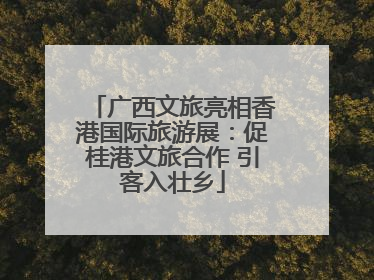 广西文旅亮相香港国际旅游展：促桂港文旅合作 引客入壮乡