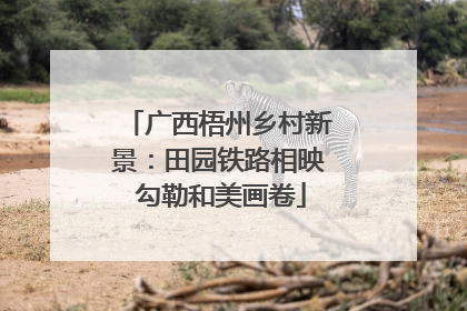 广西梧州乡村新景：田园铁路相映 勾勒和美画卷