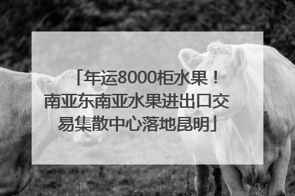年运8000柜水果！南亚东南亚水果进出口交易集散中心落地昆明