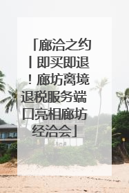 廊洽之约丨即买即退！廊坊离境退税服务端口亮相廊坊经洽会