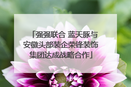 强强联合 蓝天豚与安徽头部装企荣锋装饰集团达成战略合作