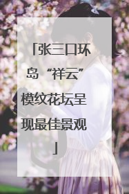 张三口环岛“祥云”模纹花坛呈现最佳景观