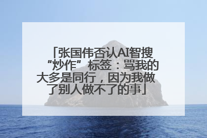 张国伟否认AI智搜“炒作”标签：骂我的大多是同行，因为我做了别人做不了的事