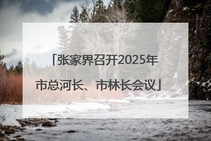 张家界召开2025年市总河长、市林长会议