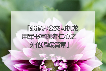 张家界公交司机龙用军书写医者仁心之外的温暖篇章