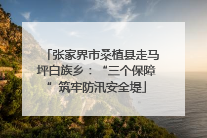 张家界市桑植县走马坪白族乡：“三个保障”筑牢防汛安全堤