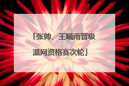 张帅、王曦雨晋级温网资格赛次轮
