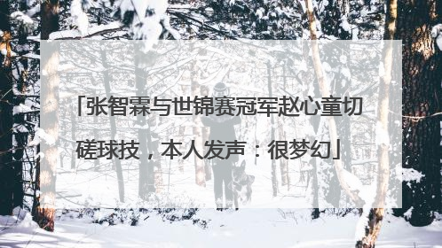 张智霖与世锦赛冠军赵心童切磋球技，本人发声：很梦幻