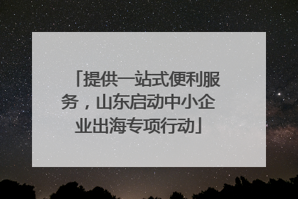 提供一站式便利服务，山东启动中小企业出海专项行动