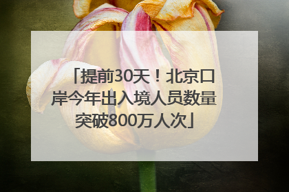 提前30天！北京口岸今年出入境人员数量突破800万人次