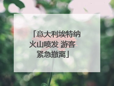 意大利埃特纳火山喷发 游客紧急撤离