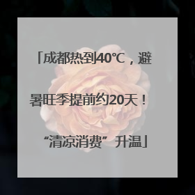 成都热到40℃，避暑旺季提前约20天！“清凉消费”升温