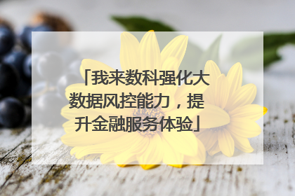 我来数科强化大数据风控能力，提升金融服务体验