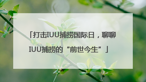 打击IUU捕捞国际日，聊聊IUU捕捞的“前世今生”