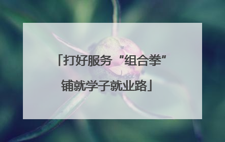 打好服务“组合拳” 铺就学子就业路